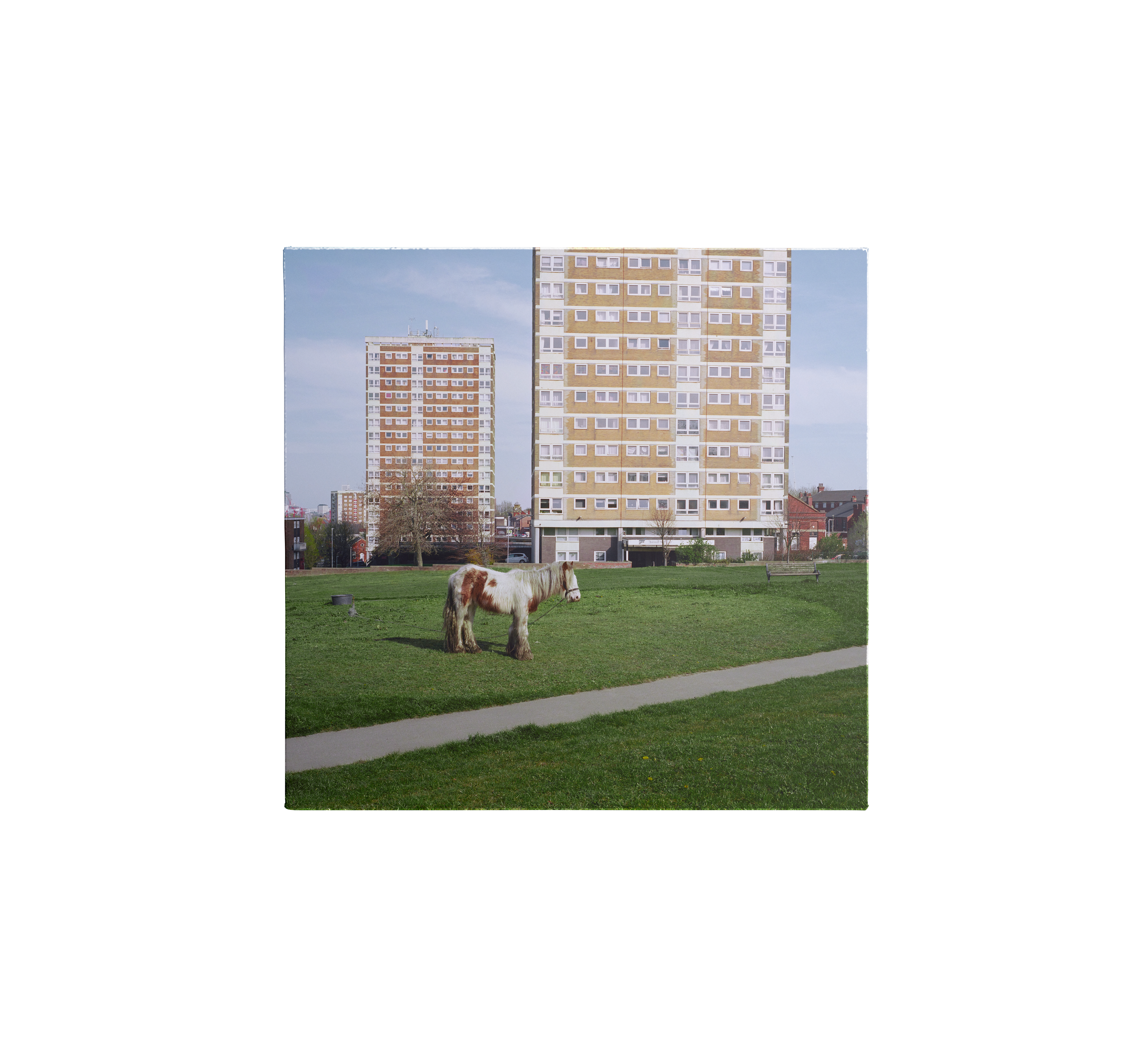 It Goes On - Standard Vinyl