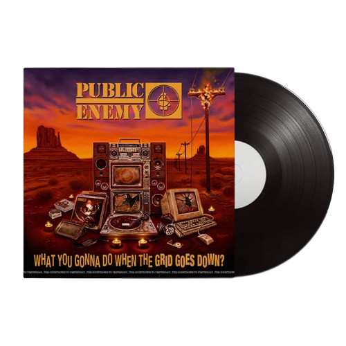 What You Gonna Do When The Grid Goes Down? Vinyl LP