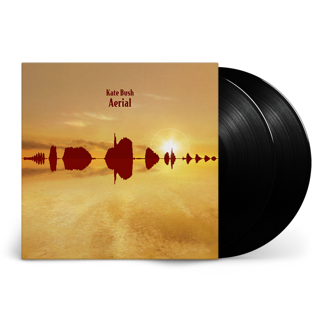 Aerial (2018 Remaster): Vinyl 2LP