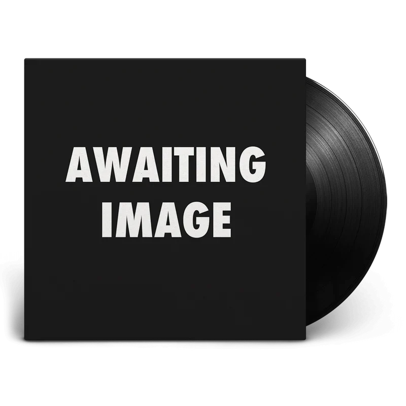 PUNKADONK2 EP 12" VINYL
