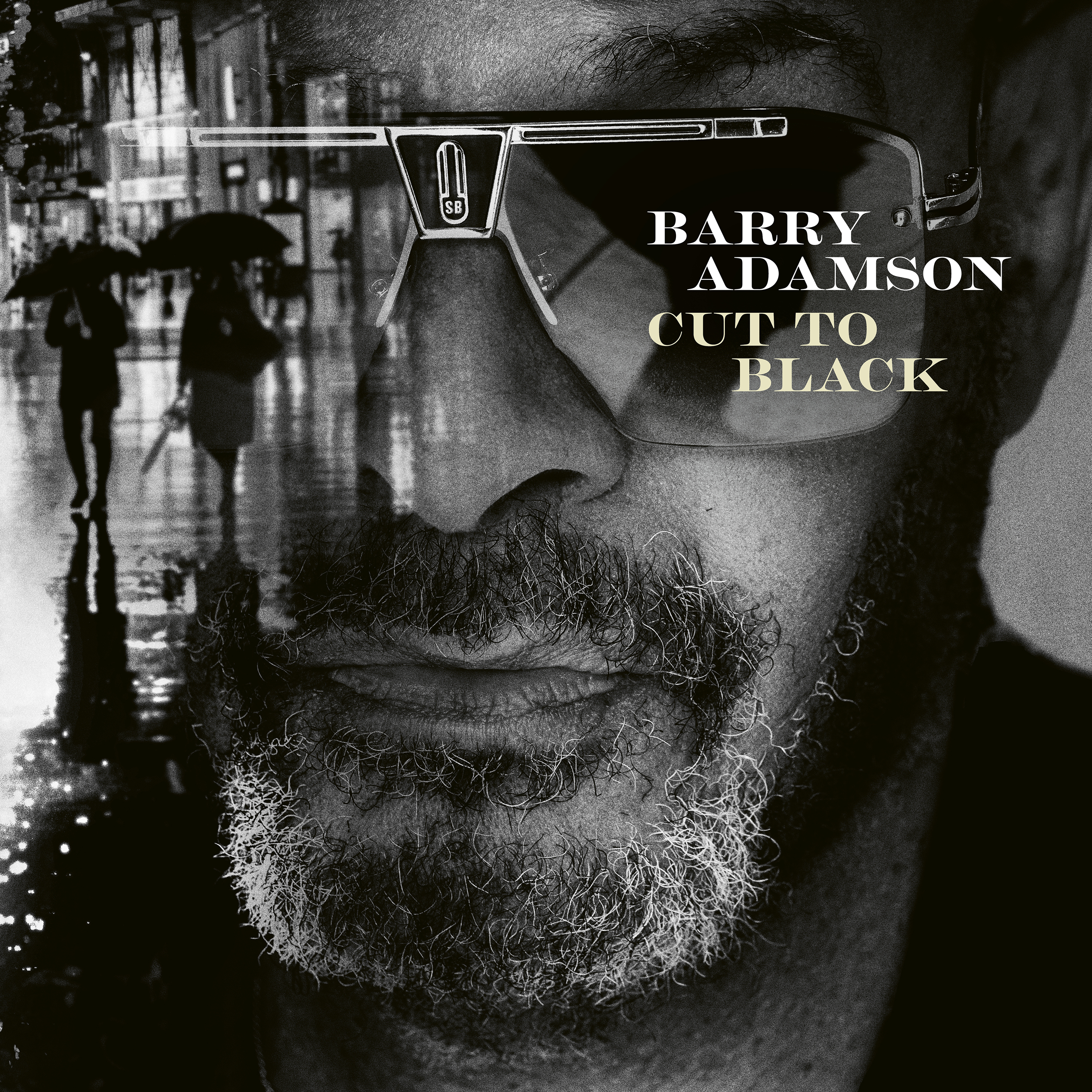 Cut To Black: CD