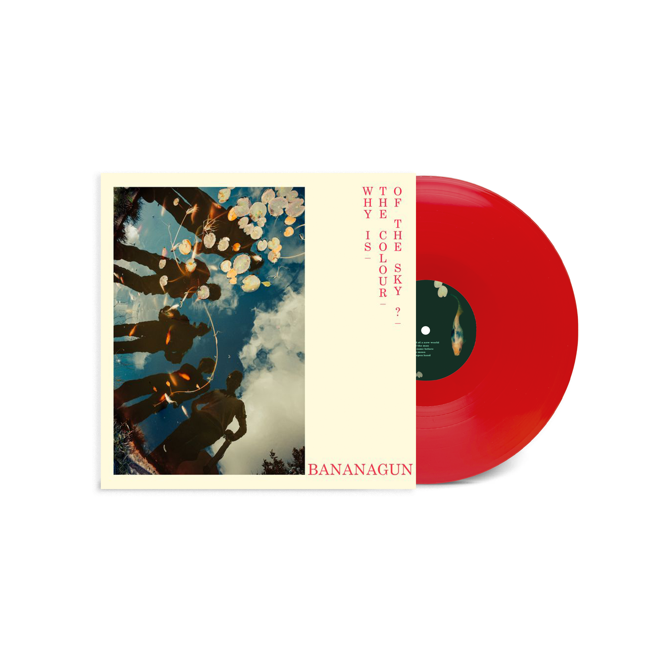 Why is the Colour of the Sky?: Limited Opaque Red Vinyl LP
