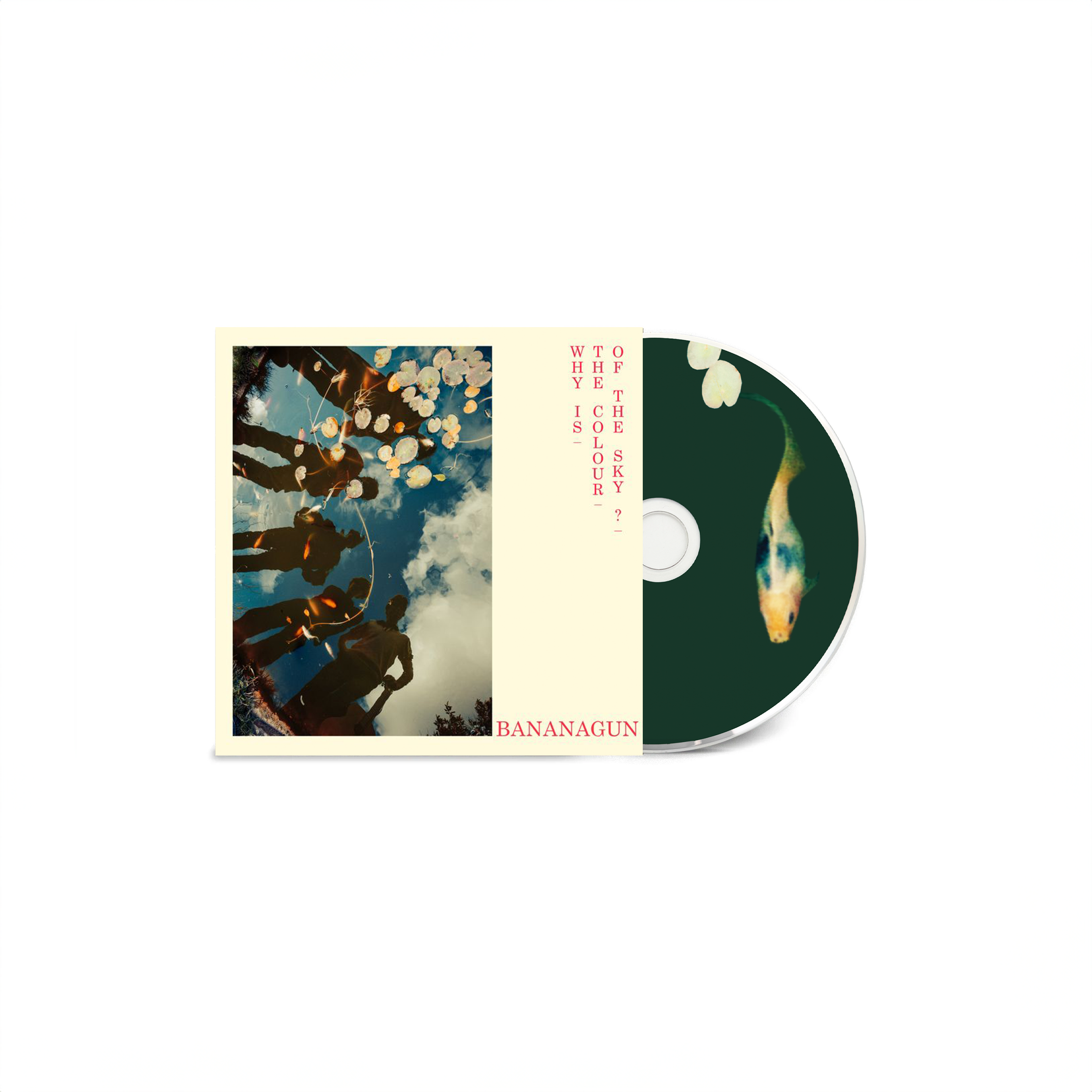 Why is the Colour of the Sky?: CD