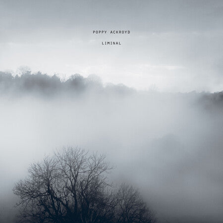 Liminal: Vinyl LP