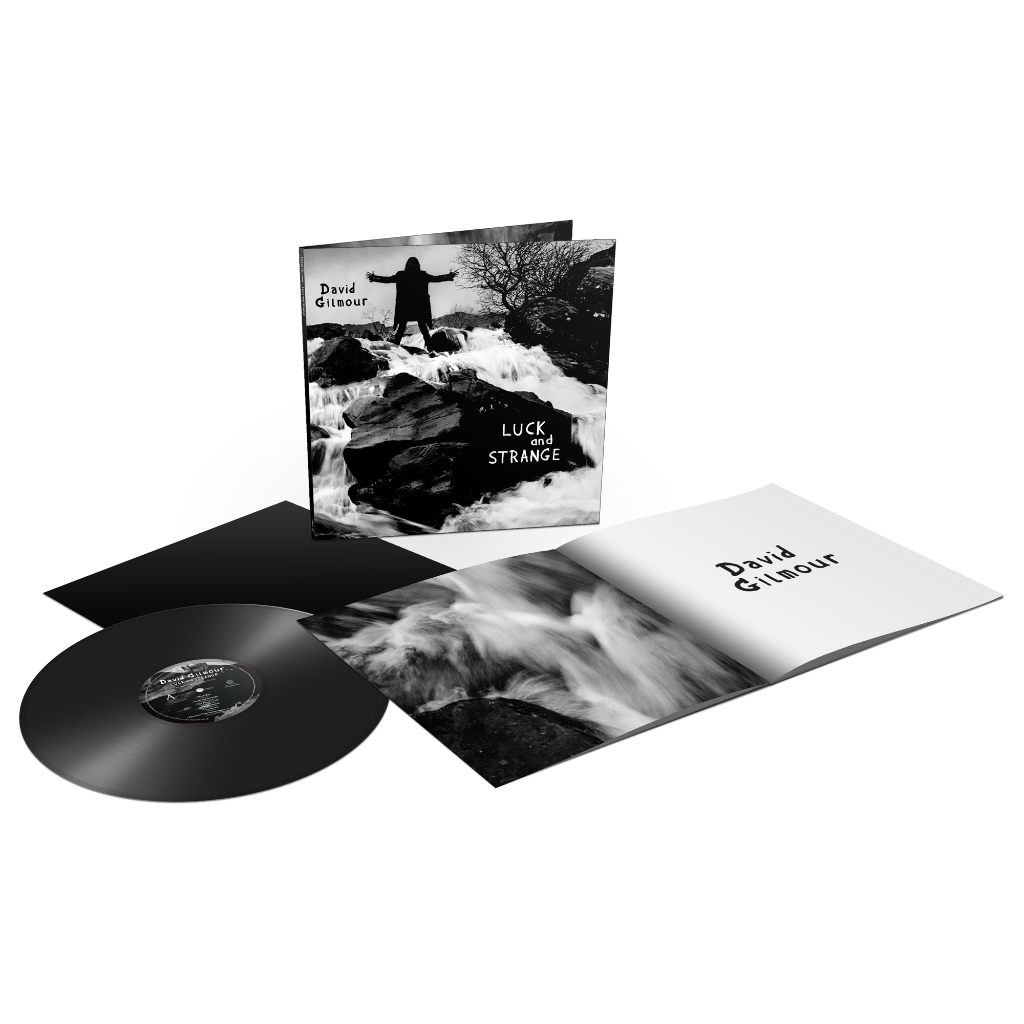 Luck and Strange: Vinyl LP