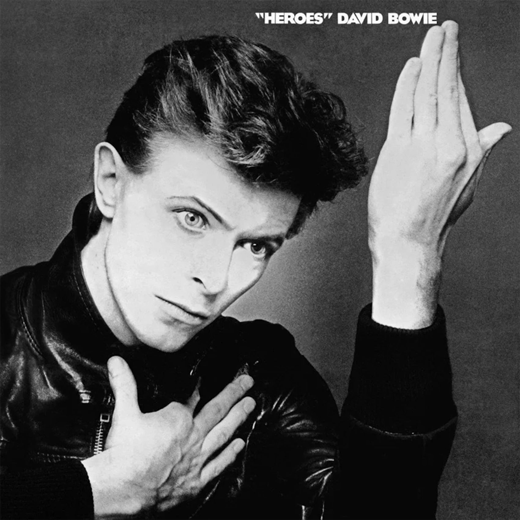 Heroes: Vinyl LP