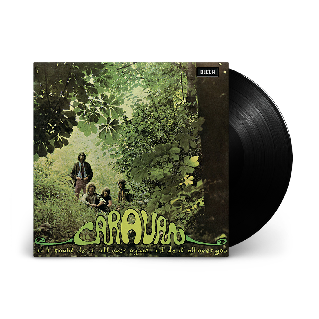 If I Could Do It All Over Again, I'd Do It All Over You: Vinyl LP