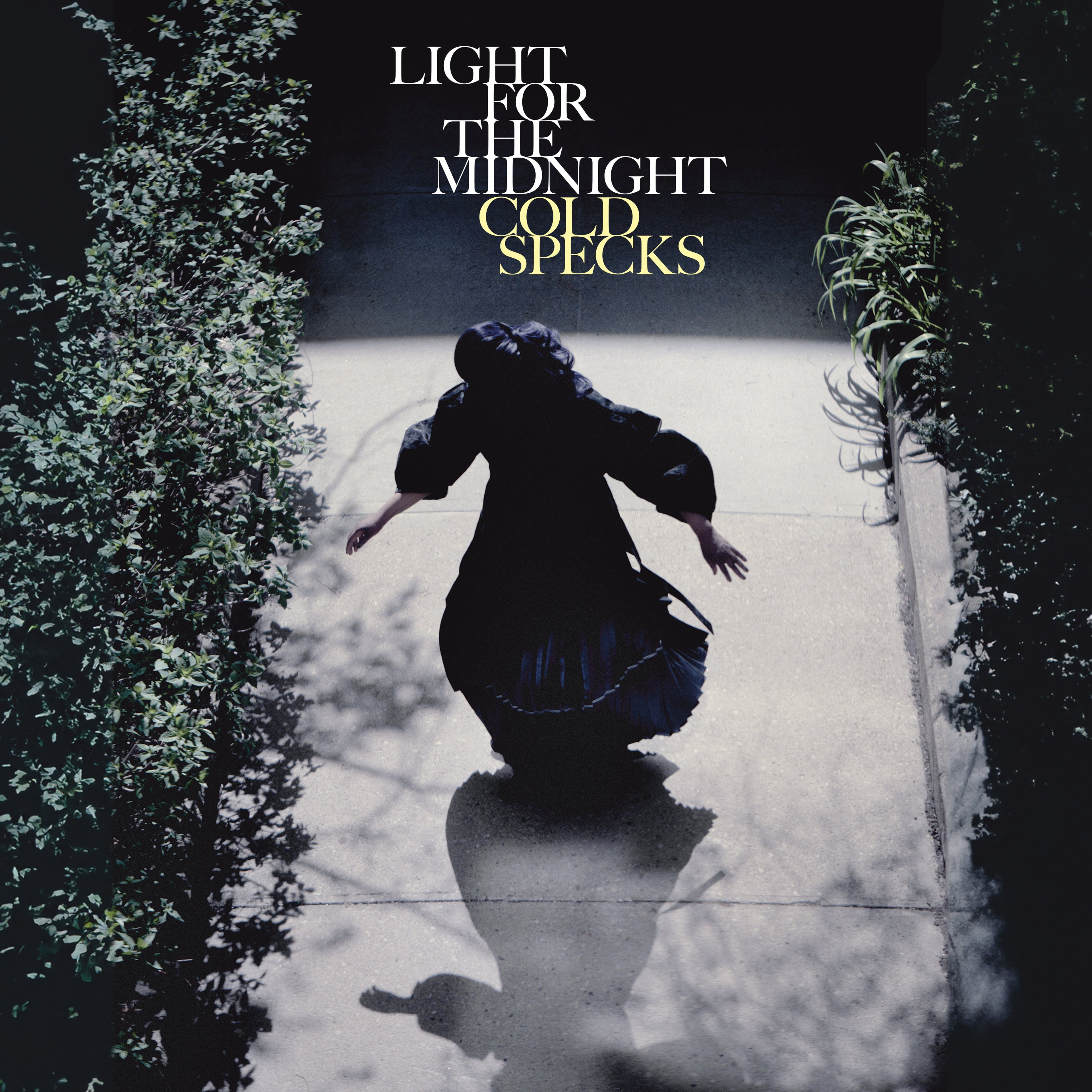 Light for the Midnight: Vinyl LP