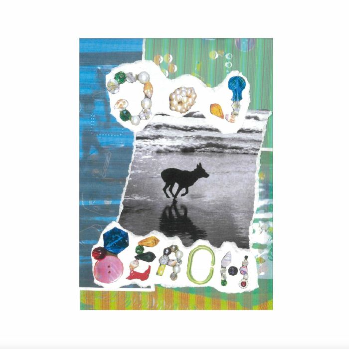 Dog Beach: Vinyl LP