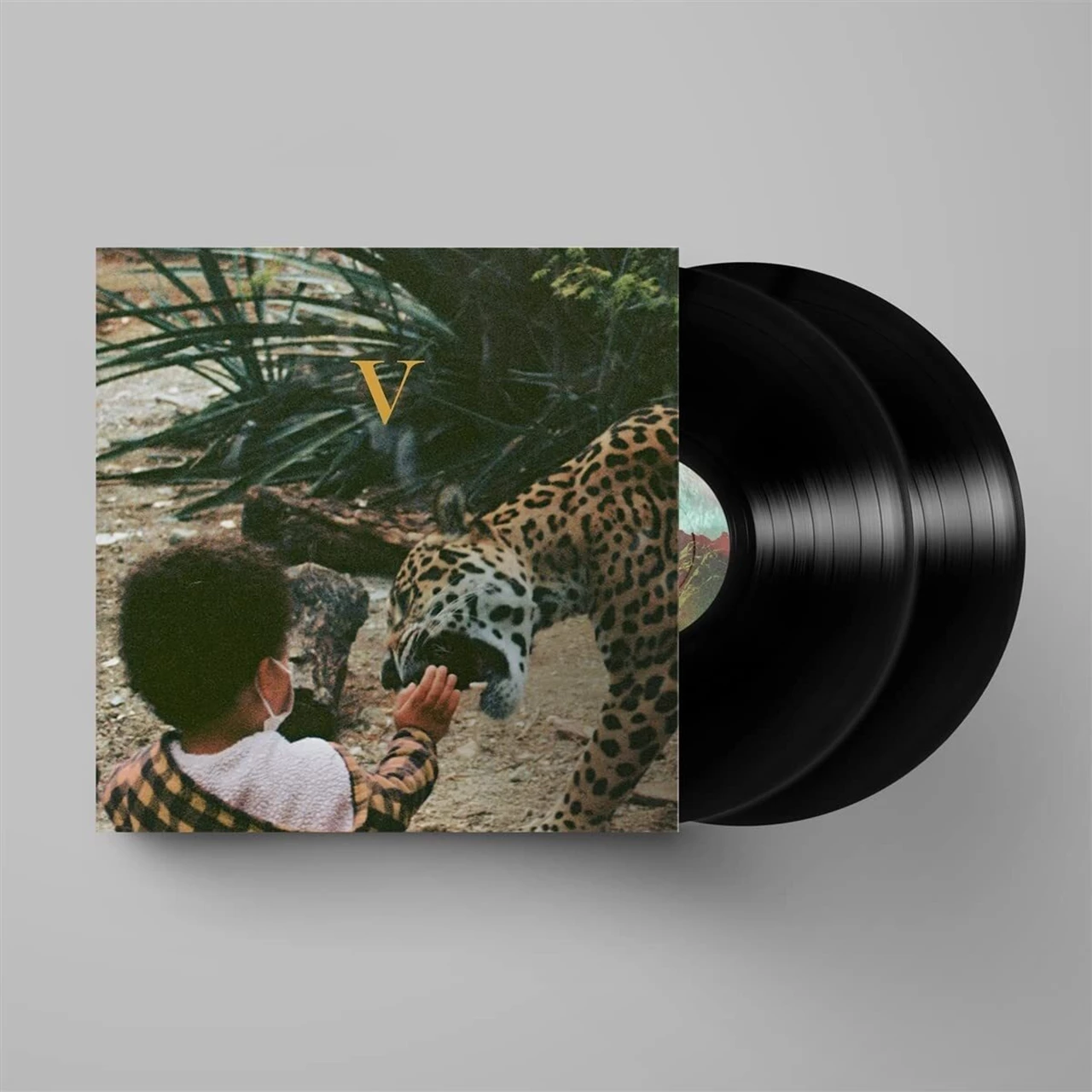 V: Vinyl 2LP