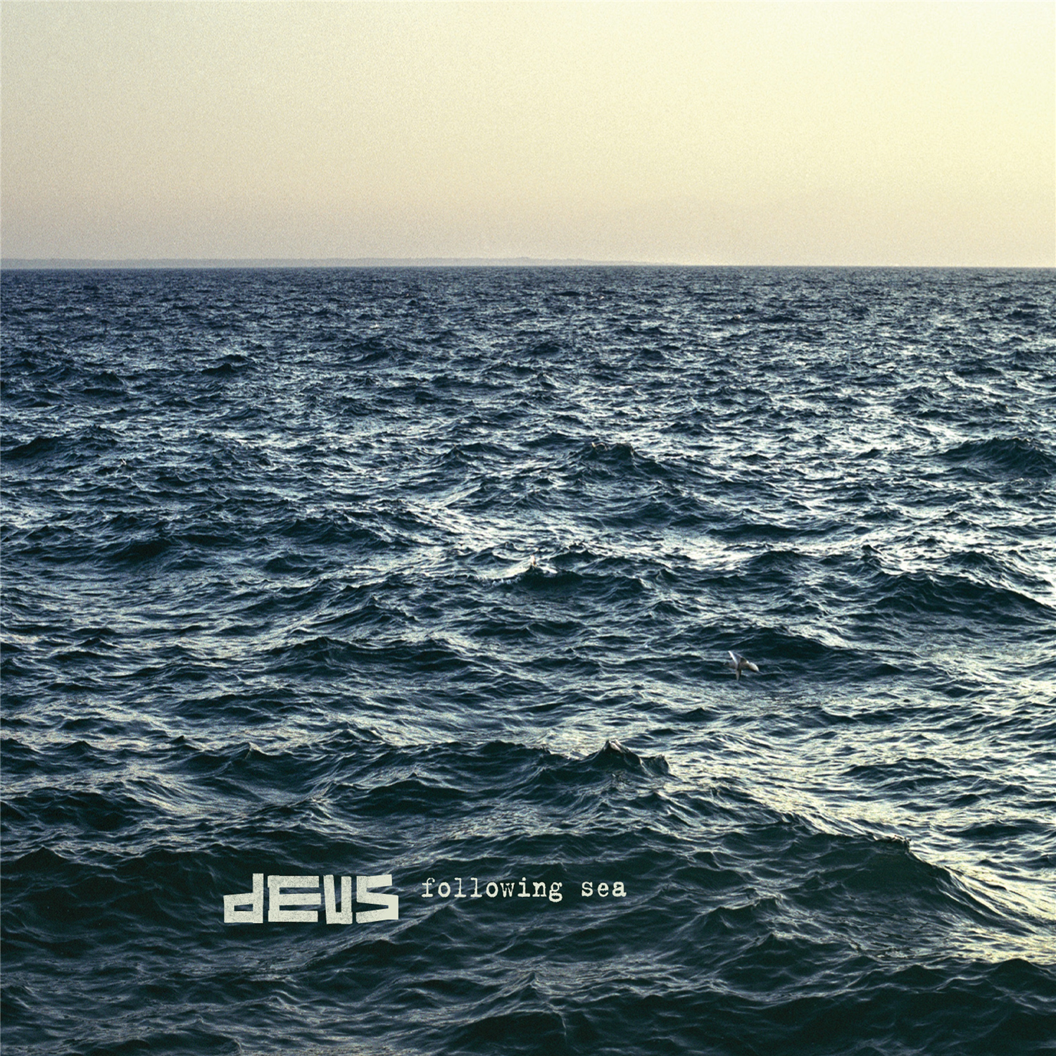 Following Sea: Vinyl LP