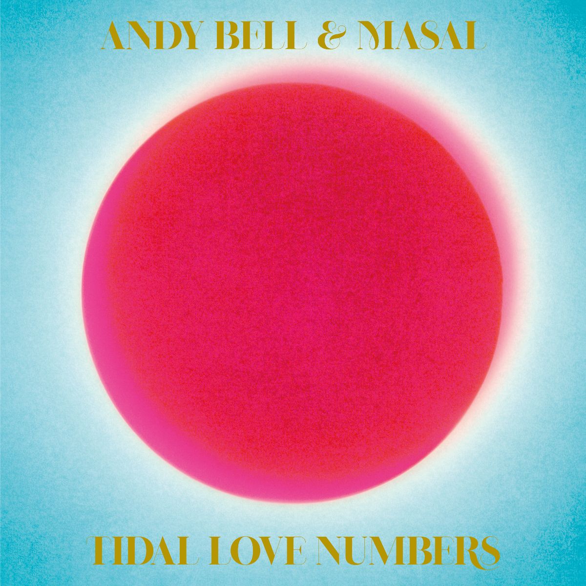 Tidal Love Numbers: CD