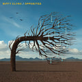Opposites: Vinyl 2LP