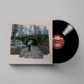 More Photographs (A Continuum): Vinyl LP