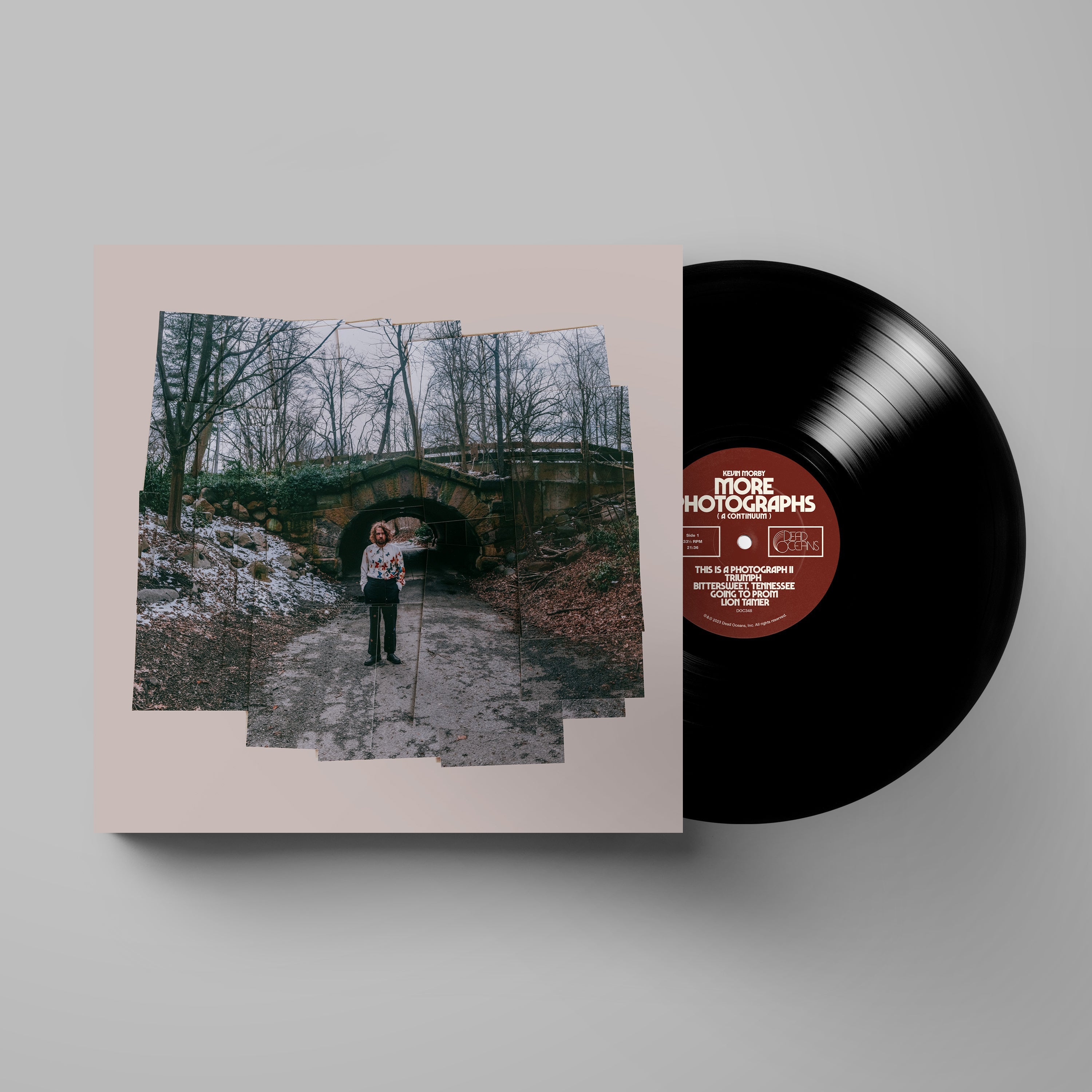 More Photographs (A Continuum): Vinyl LP