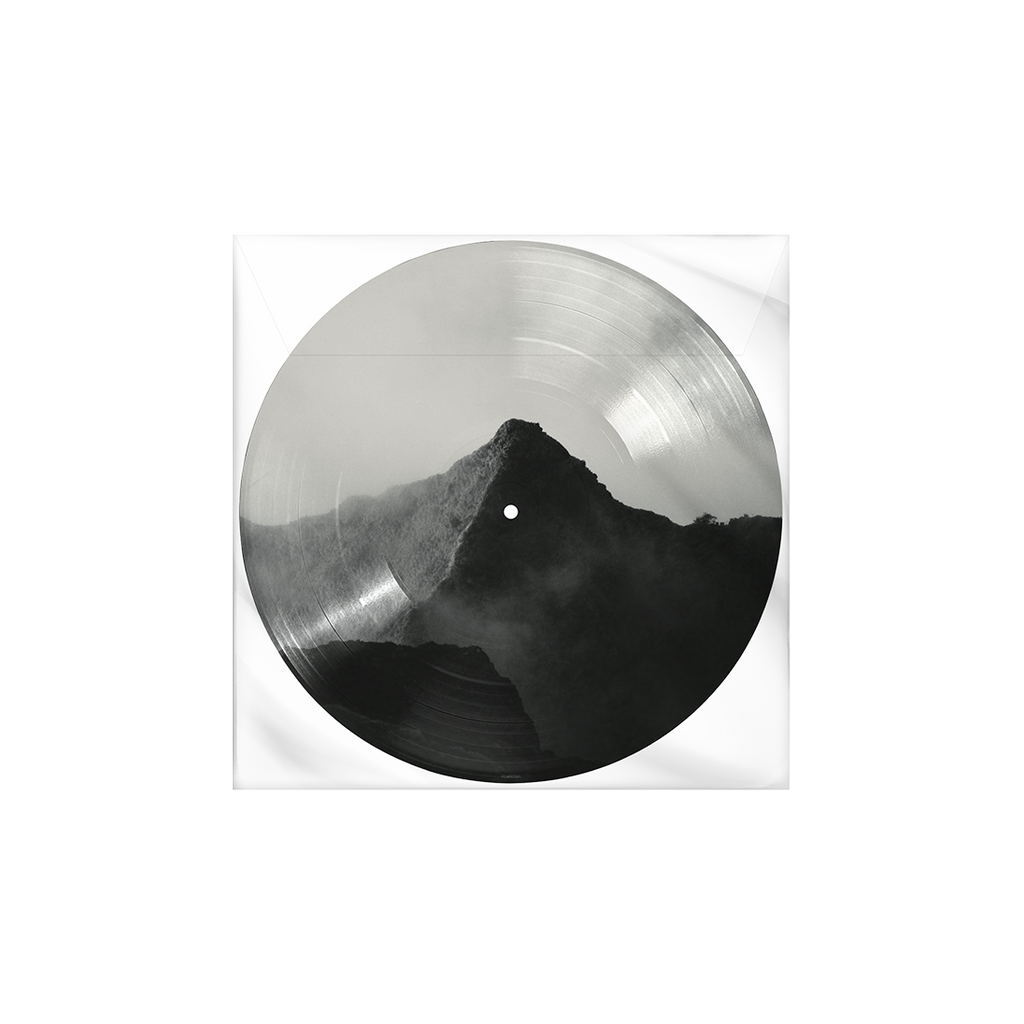Shawn Picture Disc