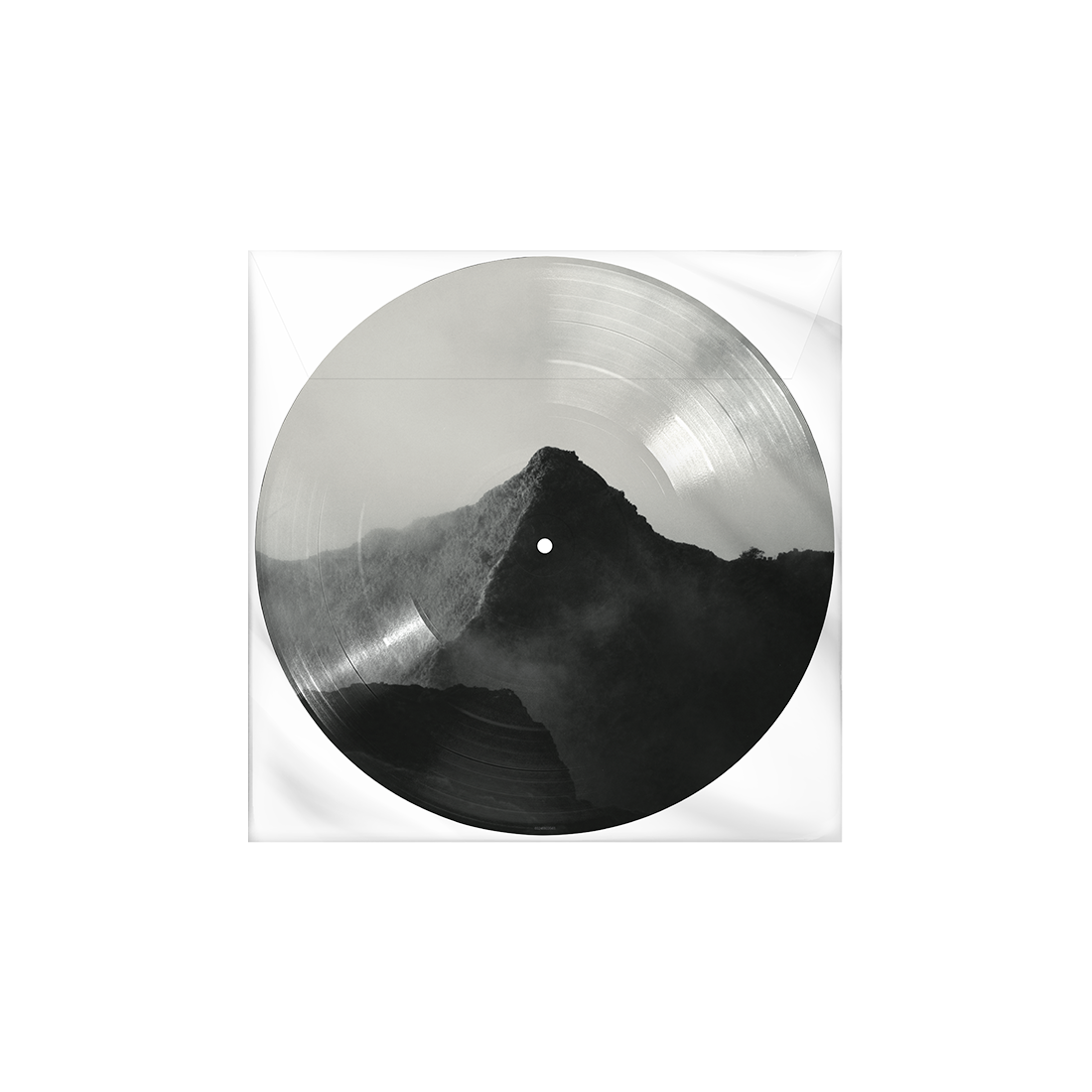 Shawn Picture Disc