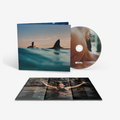 Radical Optimism: CD (w/ Lenticular Cover)