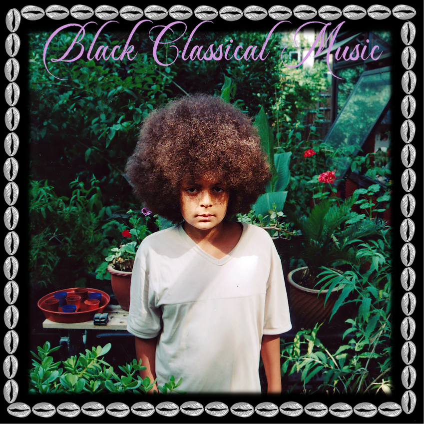 Black Classical Music: Vinyl 2LP + Signed Print