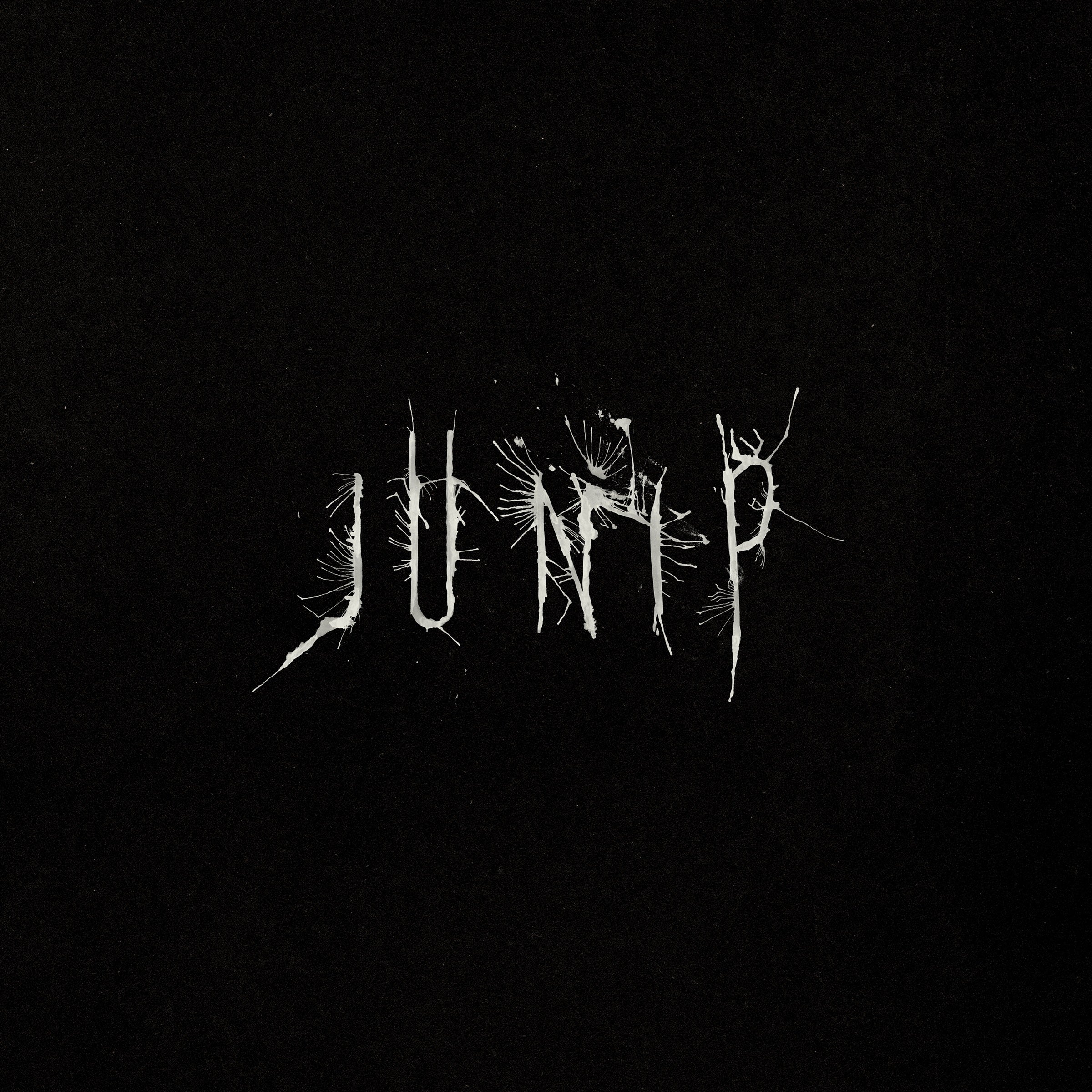 Junip: Vinyl LP
