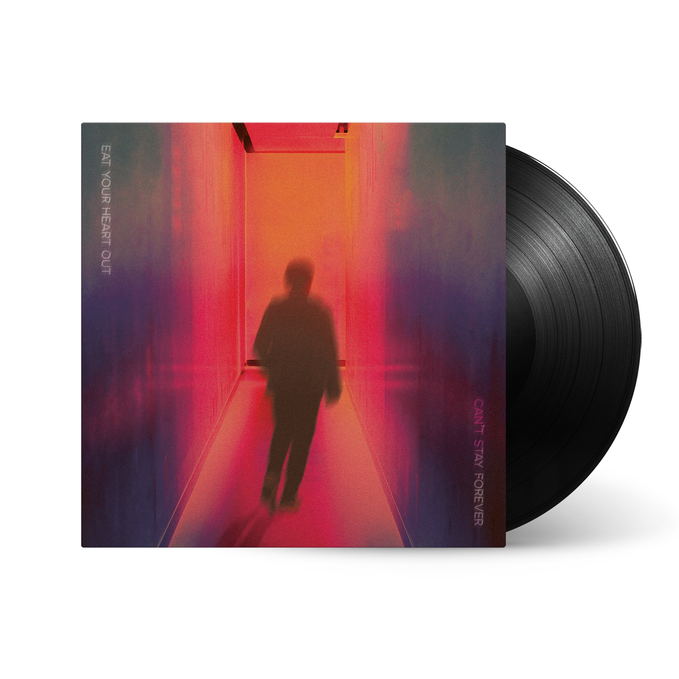 Can't Stay Forever: Vinyl LP