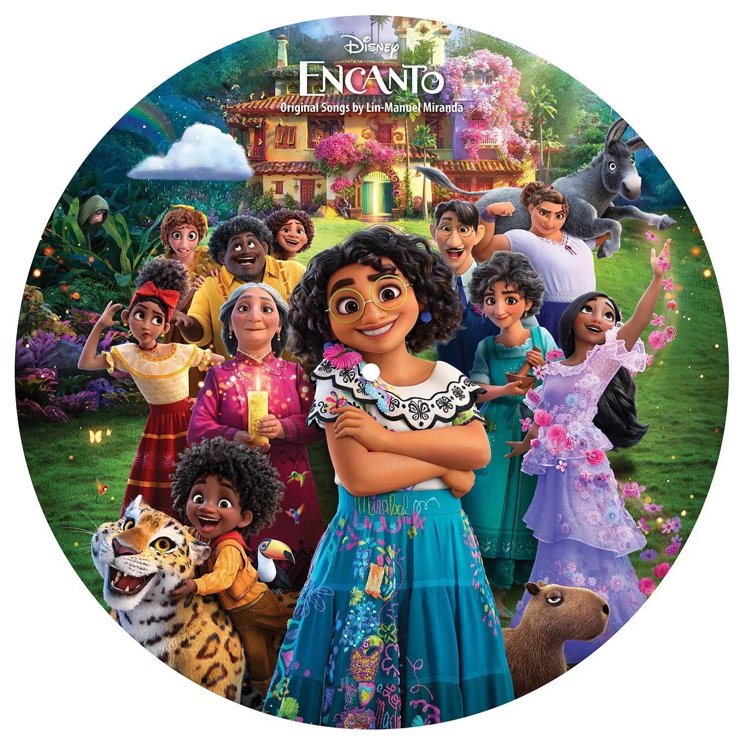 Encanto: Picture Disc Vinyl LP