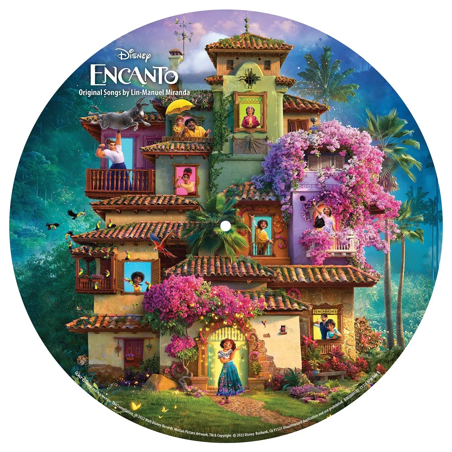 Encanto: Picture Disc Vinyl LP