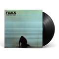What Went Down: Vinyl LP
