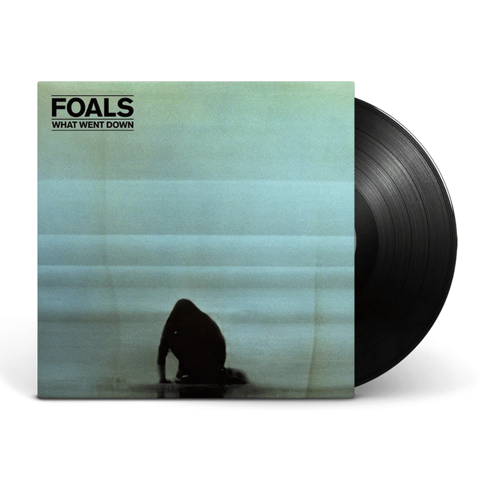 What Went Down: Vinyl LP