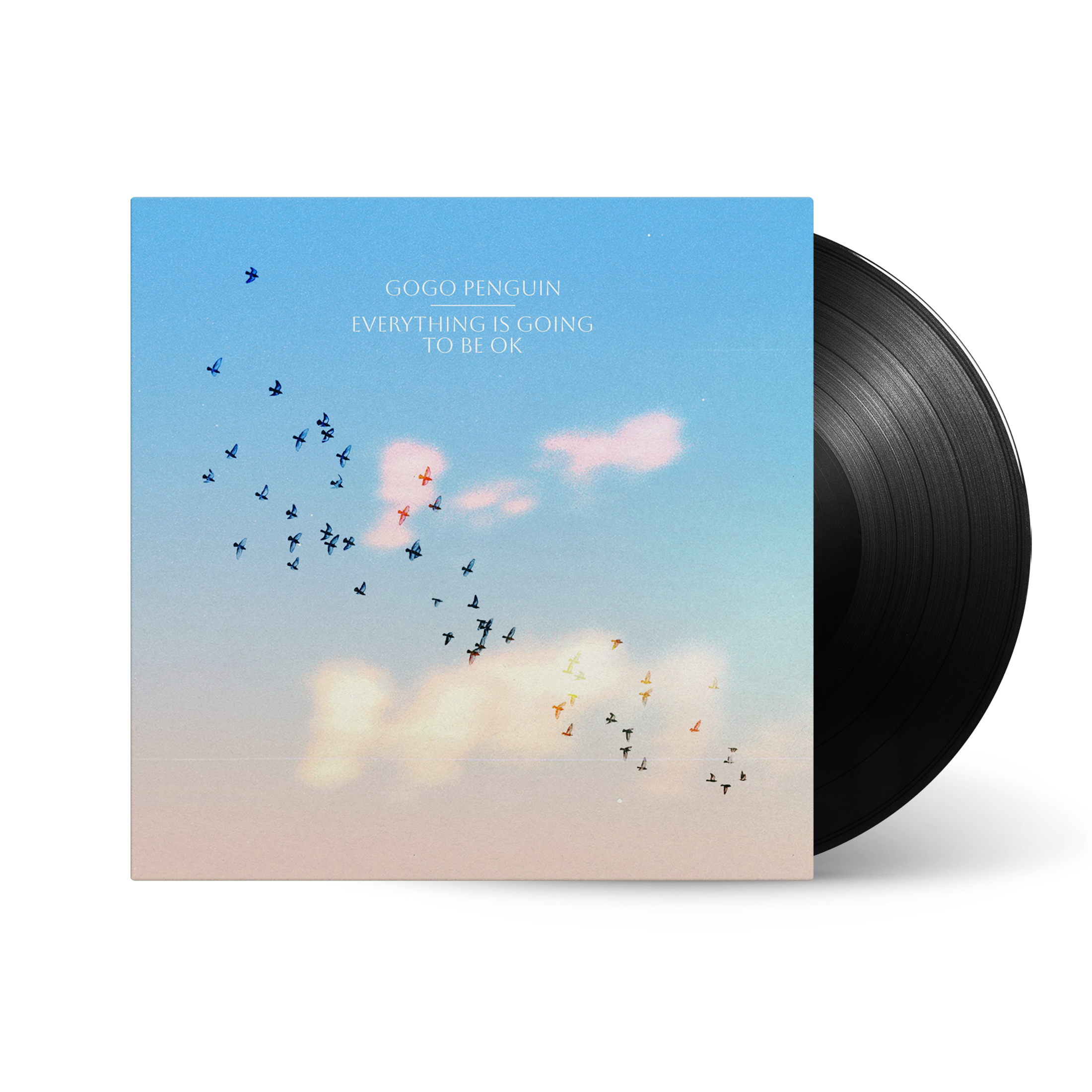 Everything Is Going To Be Okay: Vinyl LP