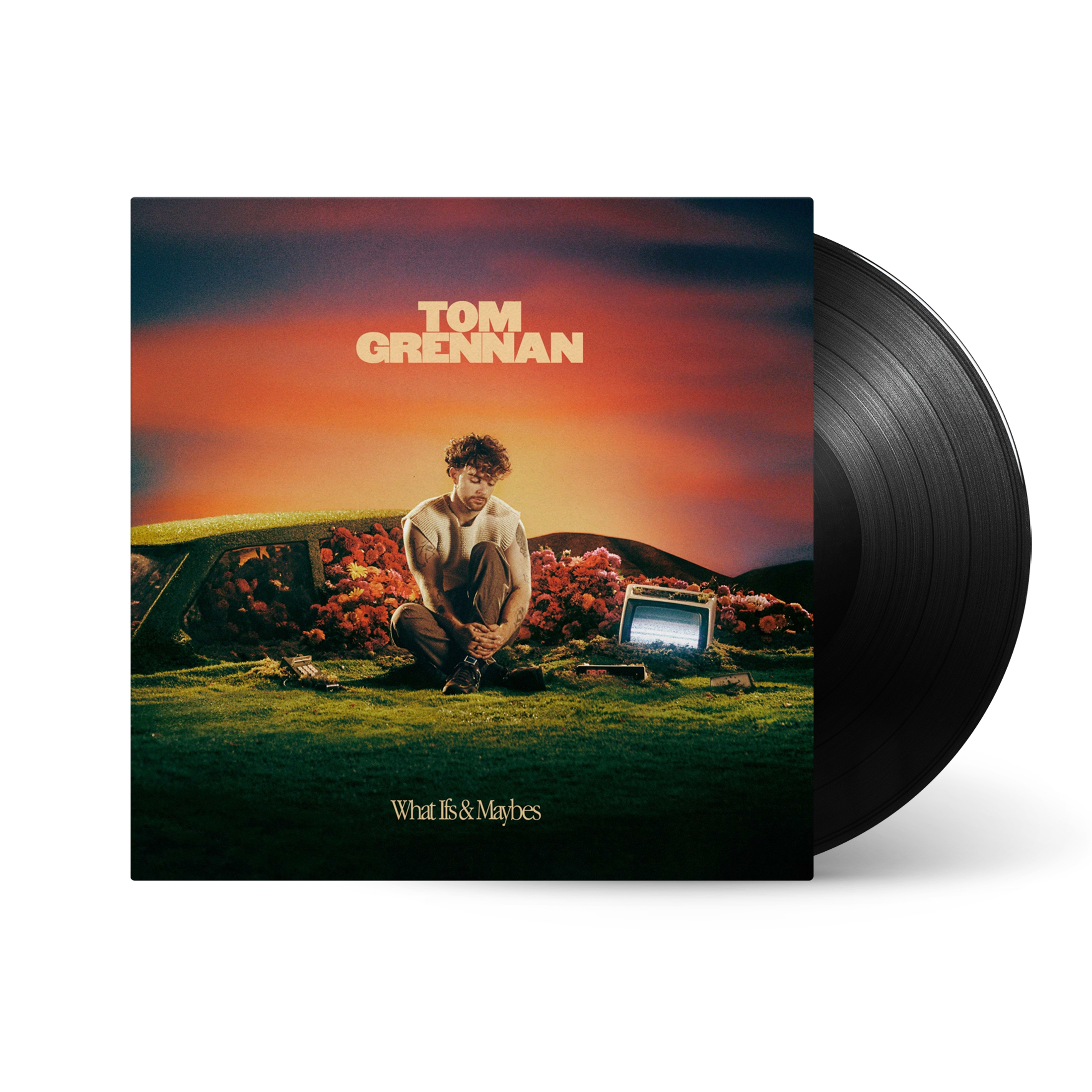 What Ifs & Maybes: Vinyl LP