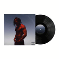 Heavy: Vinyl 2LP