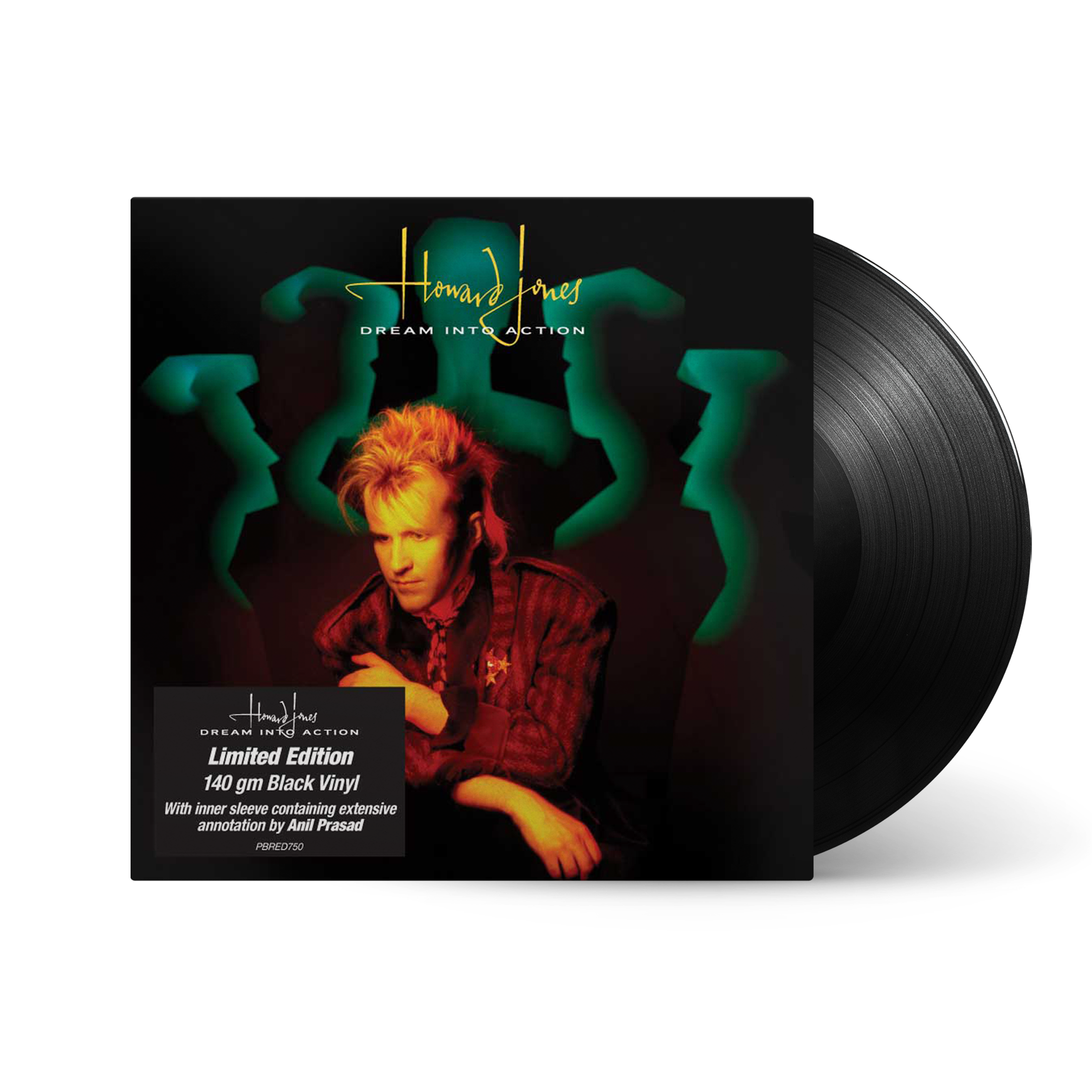 Dream Into Action: Vinyl LP