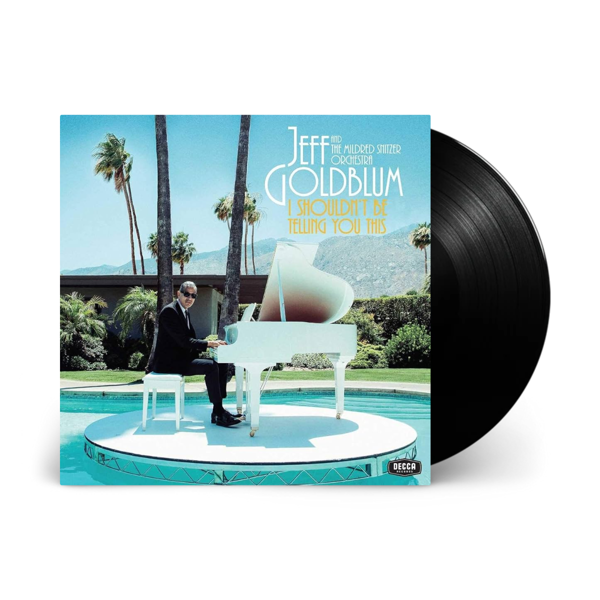 I Shouldn’t Be Telling You This: Vinyl LP