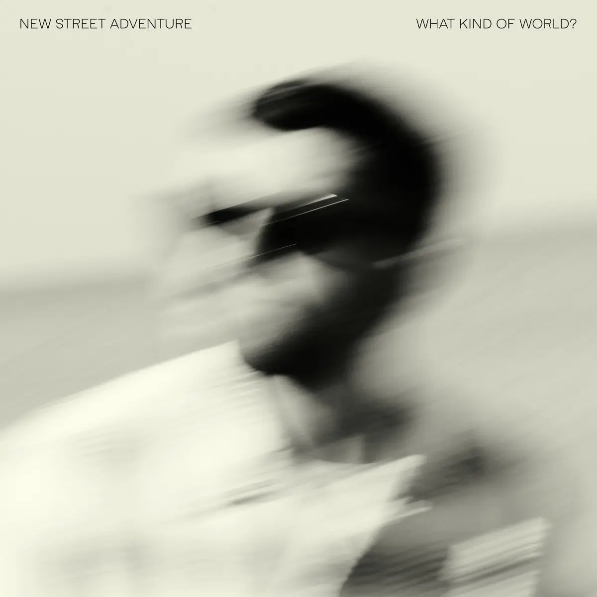 What Kind Of World?: Black Vinyl LP