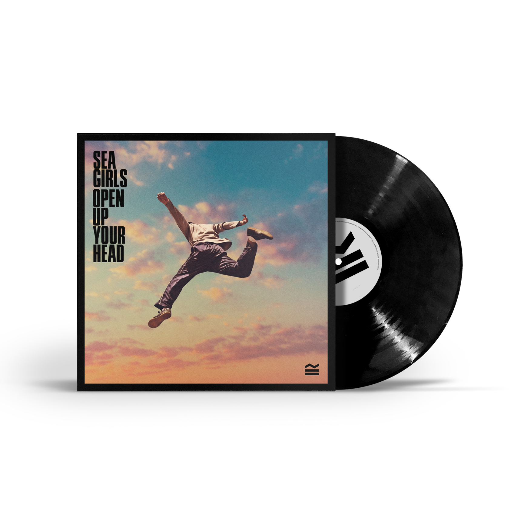 Open Up Your Head: Vinyl LP