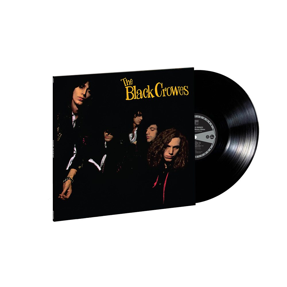 Shake Your Money Maker: Vinyl LP