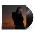 Love Is Not Dying: Standard LP