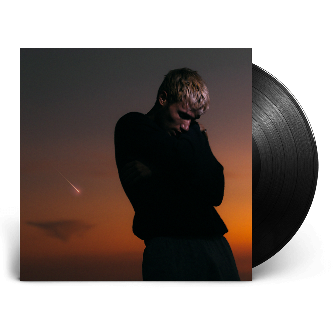 Love Is Not Dying: Standard LP