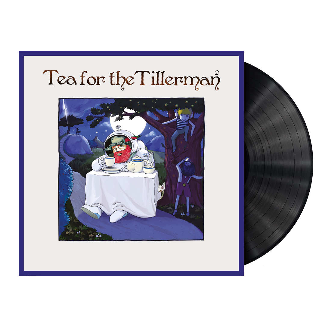 Tea For The Tillerman²: Vinyl LP
