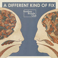 A Different Kind Of Fix: Vinyl LP