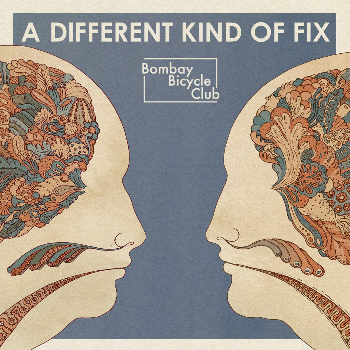 A Different Kind Of Fix: Vinyl LP