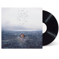 WONDER STANDARD VINYL