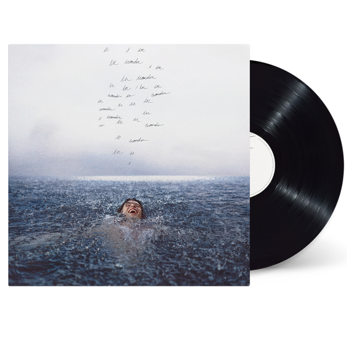 WONDER STANDARD VINYL