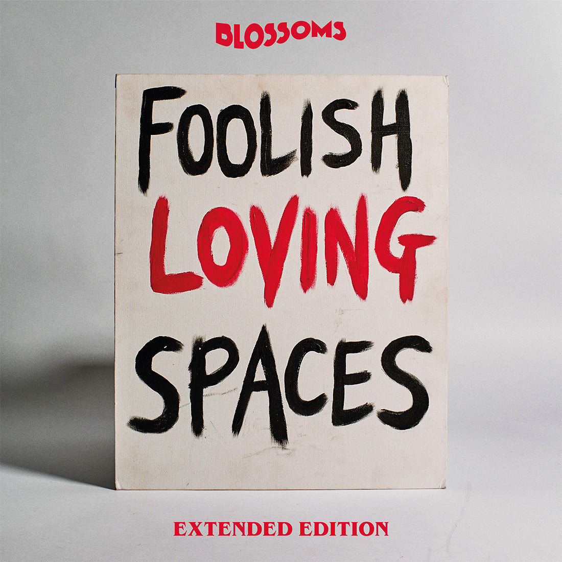 Foolish Loving Spaces (Extended Edition): 2CD