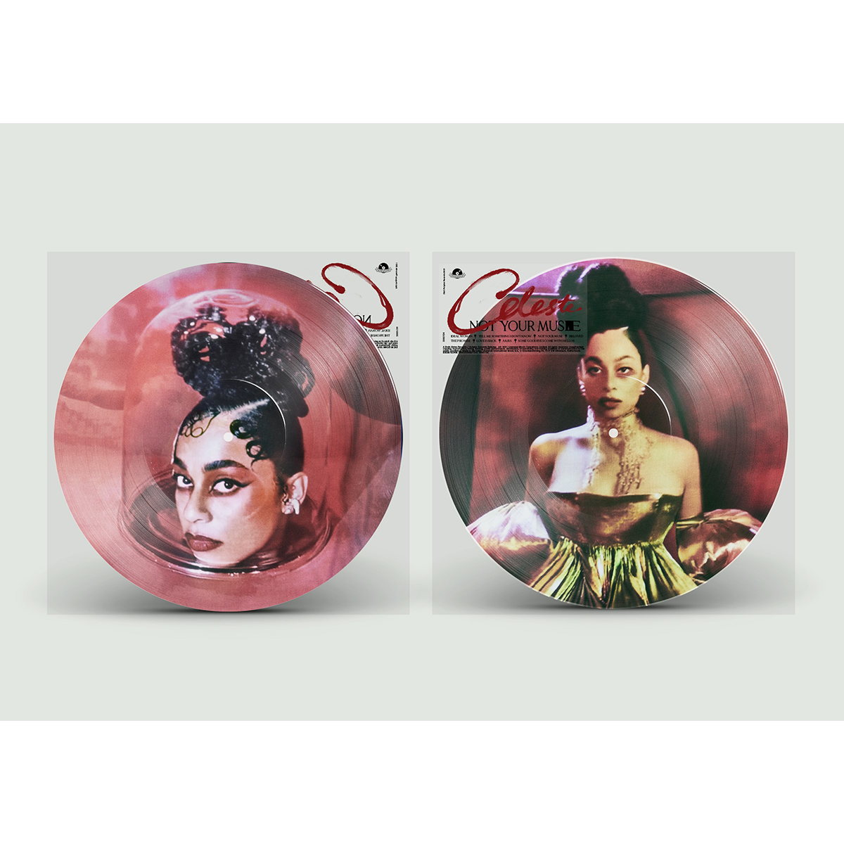 NOT YOUR MUSE SPECIAL ALTERNATIVE TRACK LISTING EDITION PICTURE DISC (LIMITED)