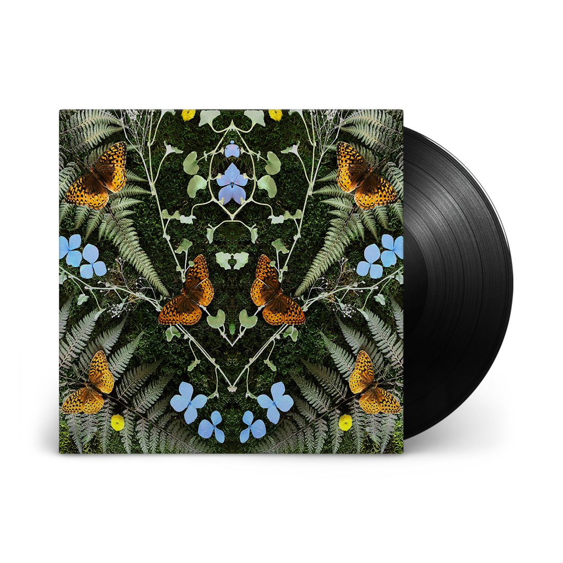 aubades: Vinyl LP
