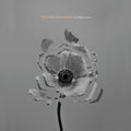 In Rolling Waves: CD