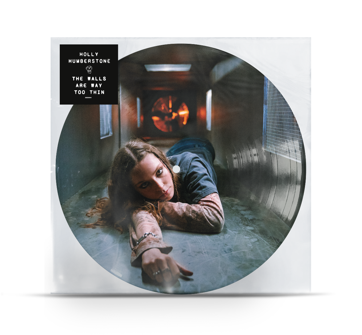 The Walls Are Way Too Thin Picture Disc