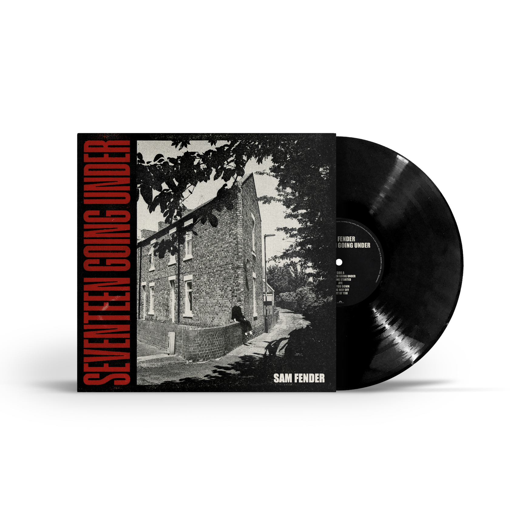 Seventeen Going Under: Vinyl LP